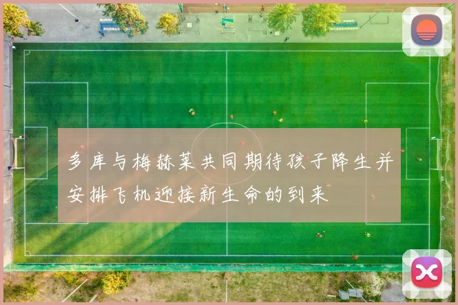 多库与梅赫莱共同期待孩子降生并安排飞机迎接新生命的到来